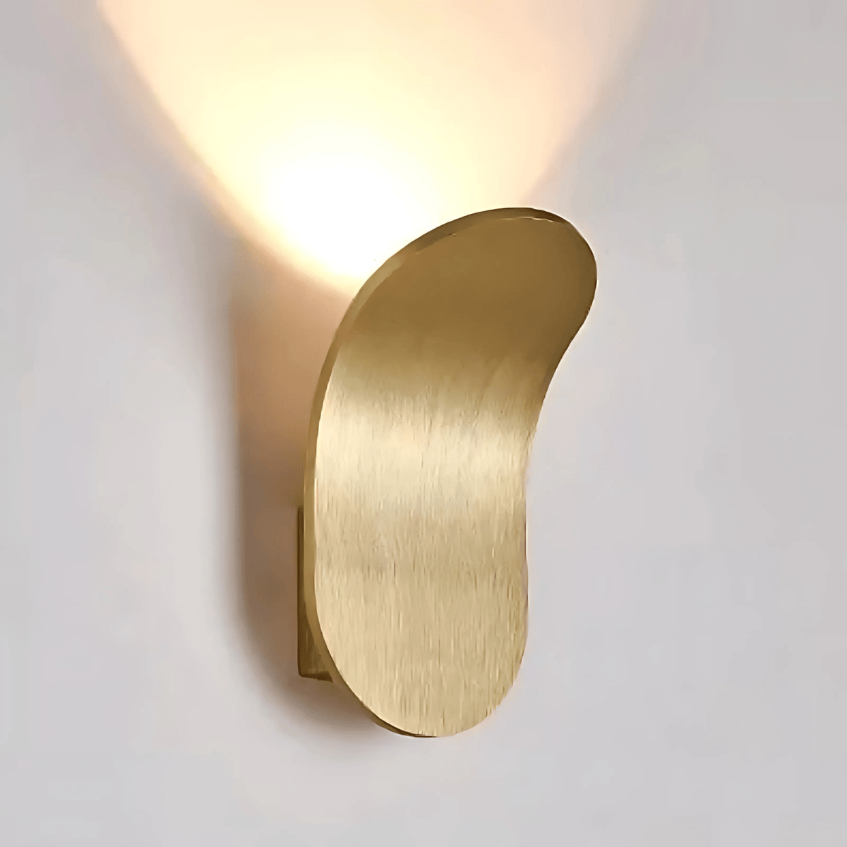 Modern Curved Wall Lamp with LED Light