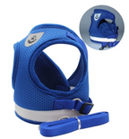 AdventureKit - Safe Harness for Adventurous Cats