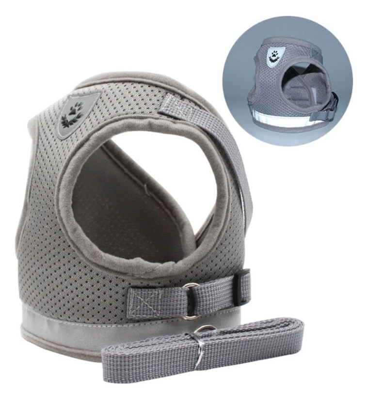 AdventureKit - Safe Harness for Adventurous Cats