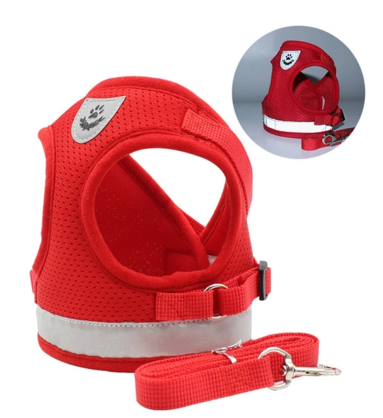 AdventureKit - Safe Harness for Adventurous Cats