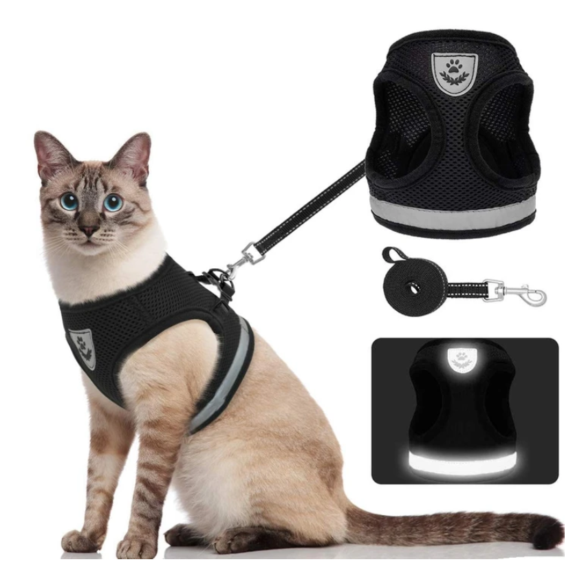 AdventureKit - Safe Harness for Adventurous Cats