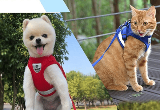 ADVENTURE HARNESS – Escape-proof cat harness with leash & reflective elements