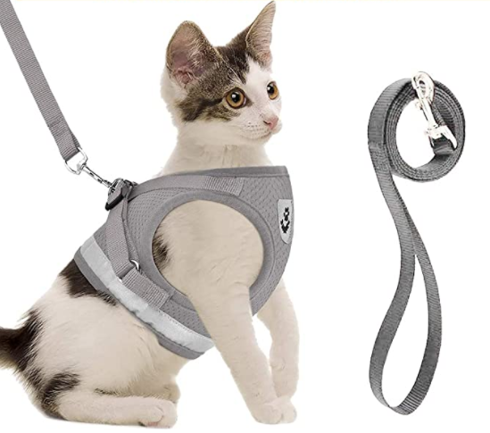 AdventureKit - Safe Harness for Adventurous Cats