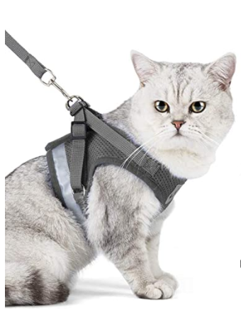 AdventureKit - Safe Harness for Adventurous Cats