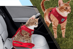 ADVENTURE HARNESS – Escape-proof cat harness with leash & reflective elements