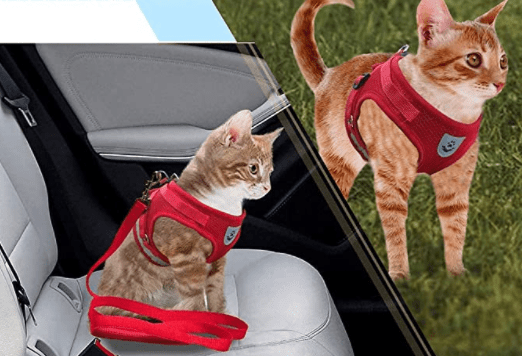 ADVENTURE HARNESS – Escape-proof cat harness with leash & reflective elements