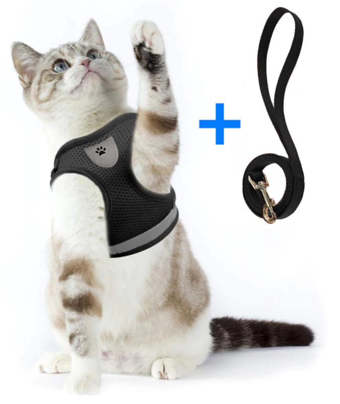 AdventureKit - Safe Harness for Adventurous Cats
