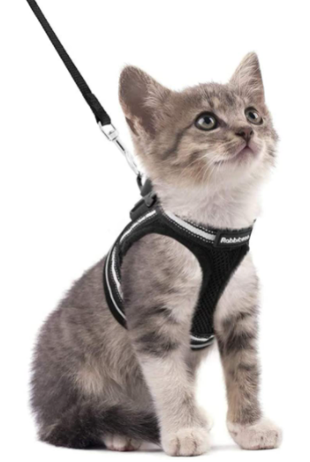 AdventureKit - Safe Harness for Adventurous Cats