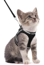 AdventureKit - Safe Harness for Adventurous Cats