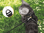 ADVENTURE HARNESS – Escape-proof cat harness with leash & reflective elements