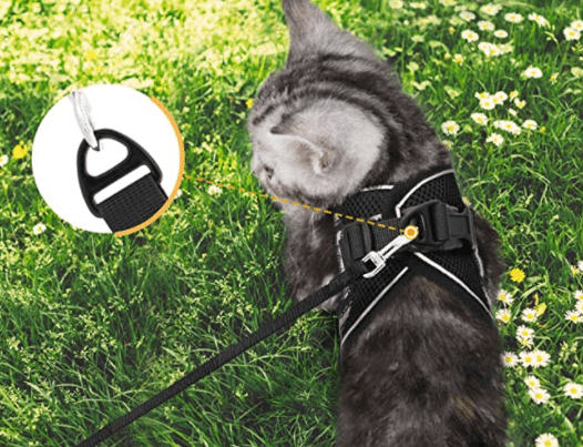 ADVENTURE HARNESS – Escape-proof cat harness with leash & reflective elements