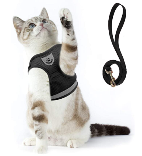 AdventureKit - Safe Harness for Adventurous Cats
