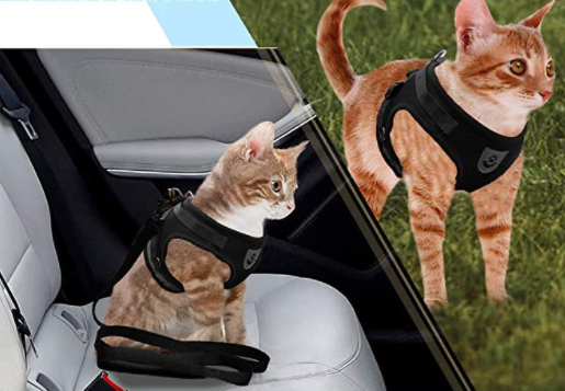 AdventureKit - Safe Harness for Adventurous Cats