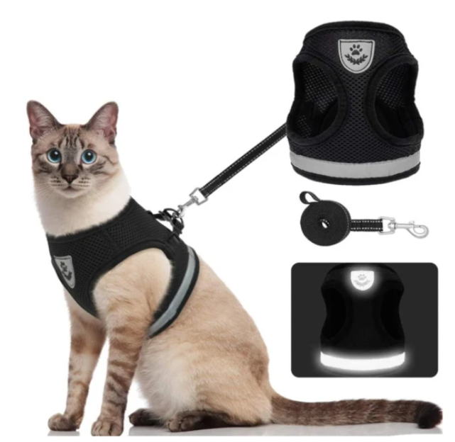 AdventureKit - Safe Harness for Adventurous Cats