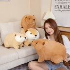 Billy & Willy the Fluffy Brown Beaver Plushie