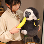 Carys the Cute Colobus Monkey Plushie