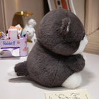 Cute Chubby Gray Ginger Cat Plushies