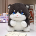 Cute Chubby Gray Ginger Cat Plushies