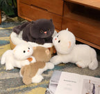 Fluffy Kitten Squad Laying Plushies