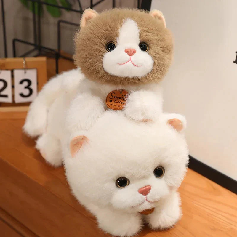 Fluffy Kitten Squad Laying Plushies