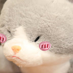 Kawaii Grey Half Cat Half Shark Combo Plushie