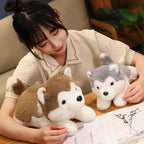 Kawaii Soft Husky Plush