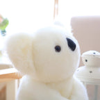 Koala Bear Family