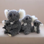 Koala Bear Family