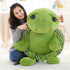 Bob the Tortoise