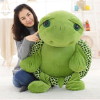 Bob the Tortoise