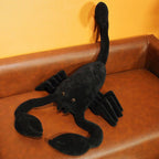 Sage the Scorpion