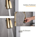 Brass Kitchen Faucet Pull Out Mixer Sink Water Tap 360 Rotation Single Handle