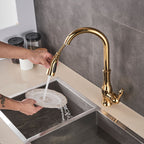 Brass Kitchen Faucet Pull Out Mixer Sink Water Tap 360 Rotation Single Handle