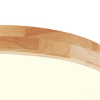 Scandinavian LED Ceiling Lamp with Dimming Function