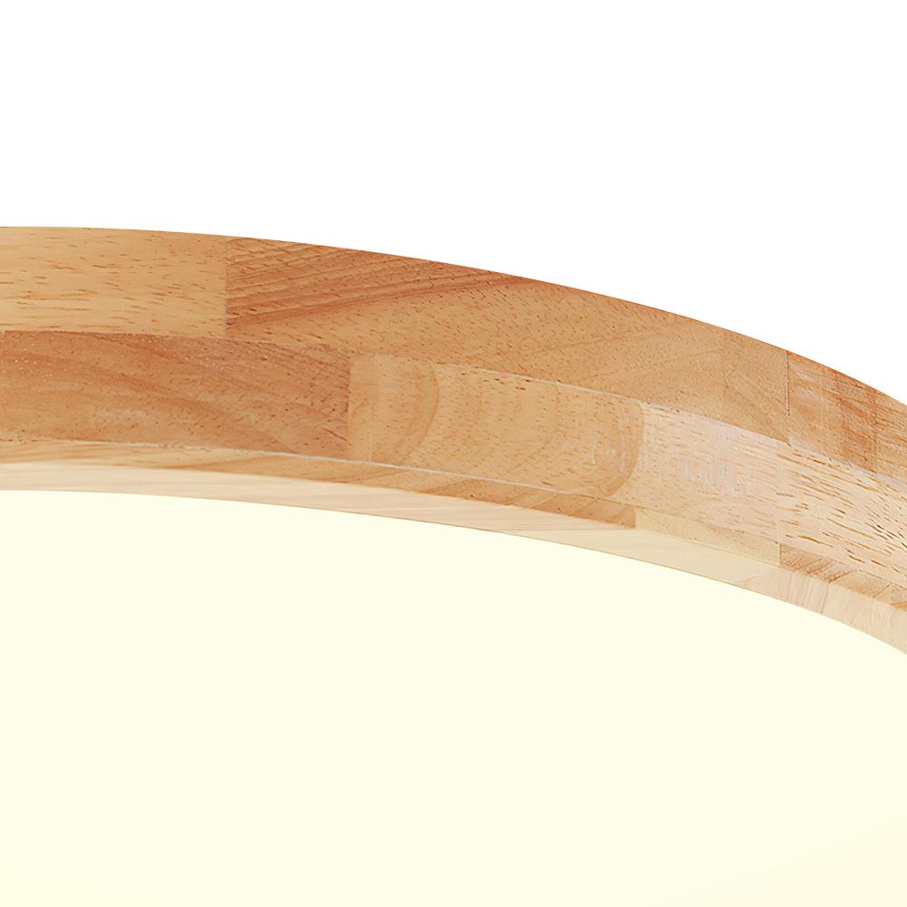 Scandinavian LED Ceiling Lamp with Dimming Function