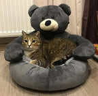 Cozy Cat Bed with Security & Comfort