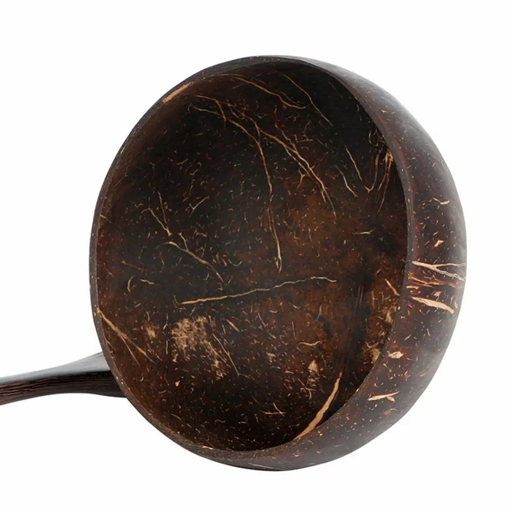 Sustainable food containers made from coconut shells - TropiBowl