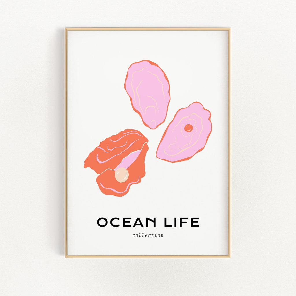 Ocean Life - Shell