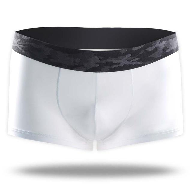 Men's Ice Silk Underwear