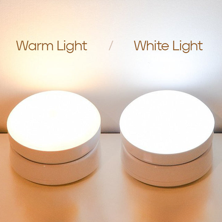 Indoor LED Motion Sensor Wall Light