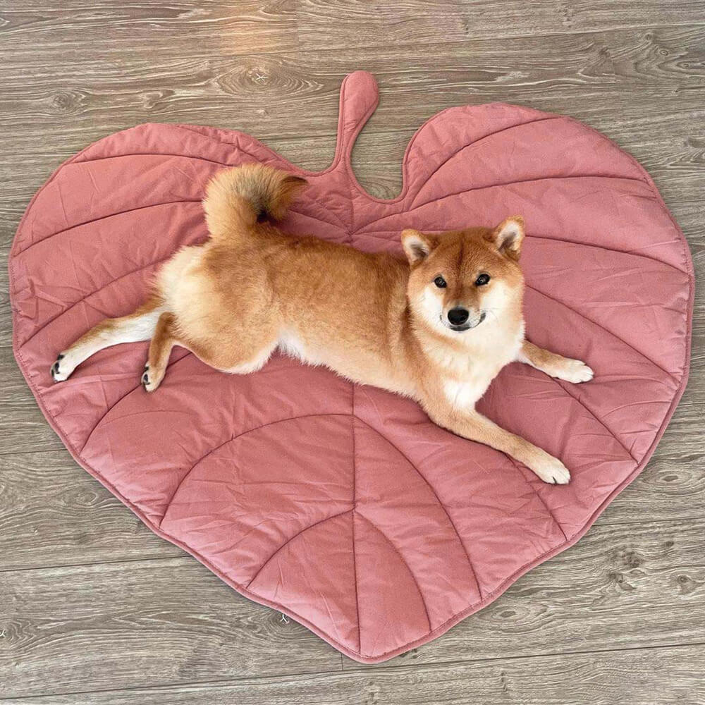 Leafnest – Leaf-Shaped Dog Blanket for Comfort & Style