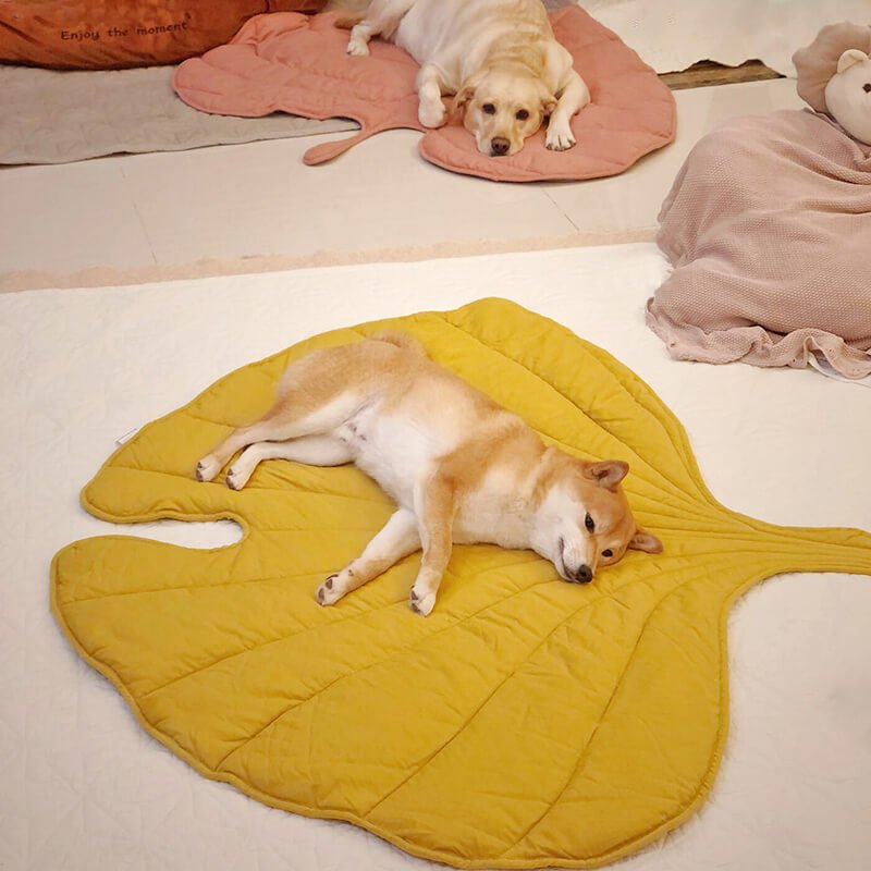 Leafnest – Leaf-Shaped Dog Blanket for Comfort & Style