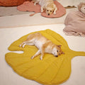 Leafnest – Leaf-Shaped Dog Blanket for Comfort & Style