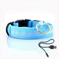 LED Dog Collar - GlowCollar