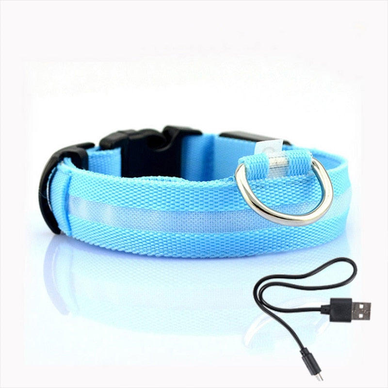 LED Dog Collar - GlowCollar
