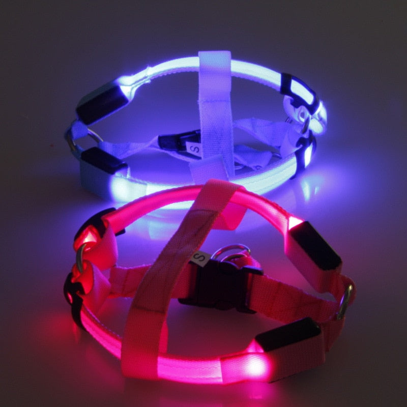 LED Dog Harness - Glow&Go