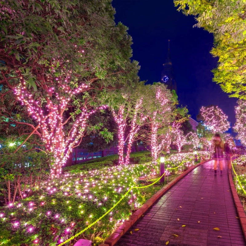 Solar string lights for outdoor use | Waterproof solar garden lights