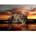 Leopard Reflection - GemPaint Kit