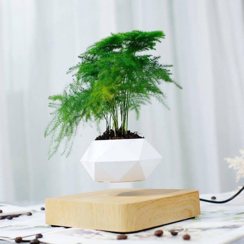 Floating Air Bonsai Pot