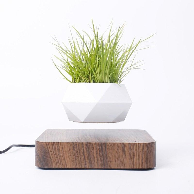 Floating Air Bonsai Pot